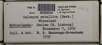 Image Associated With the Occurence